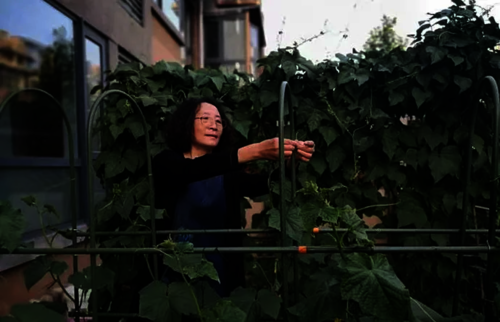 e74e03e15f8f1a7ee269c3f522decb9